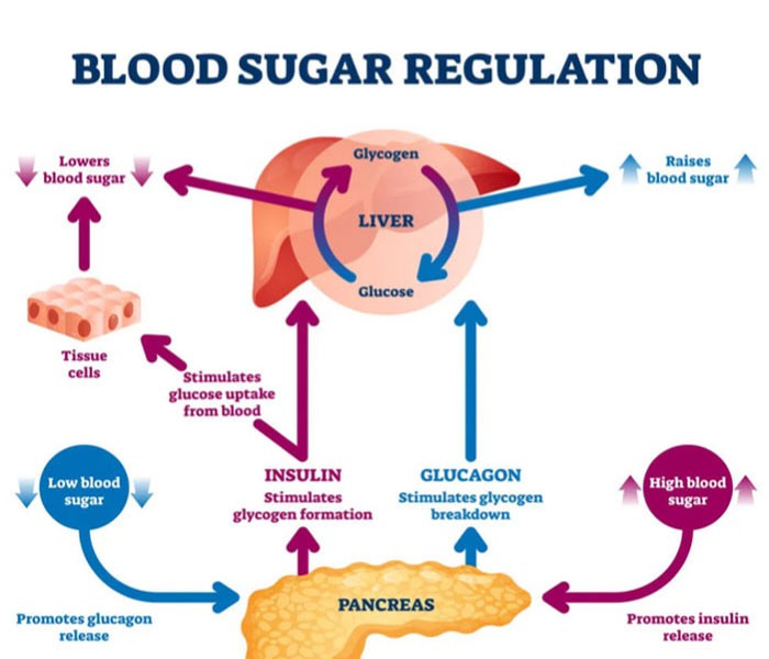 Bioglutide NA-931 Online | Shaanxi BLOOM Tech Co., Ltd Bioglutide NA-931 Online | Shaanxi BLOOM Tech Co., Ltd