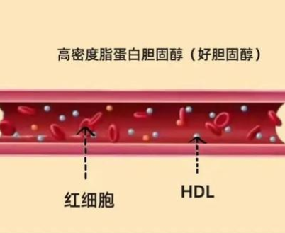 SLU PP 332 Online | Shaanxi BLOOM Tech Co., Ltd SLU PP 332 Online | Shaanxi BLOOM Tech Co., Ltd