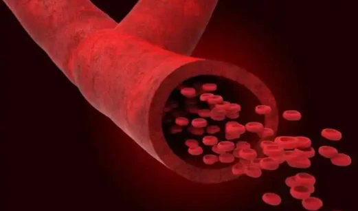 GS-441524 neurological disease | Shaanxi BLOOM Tech Co., Ltd GS-441524 neurological disease | Shaanxi BLOOM Tech Co., Ltd