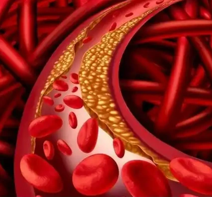 Liraglutide dual routes | Shaanxi BLOOM Tech Co., Ltd Liraglutide dual routes | Shaanxi BLOOM Tech Co., Ltd