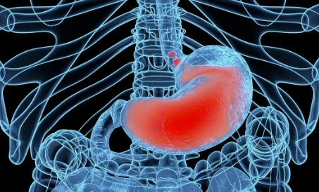 Liraglutide uses | Shaanxi BLOOM Tech Co., Ltd Liraglutide uses | Shaanxi BLOOM Tech Co., Ltd