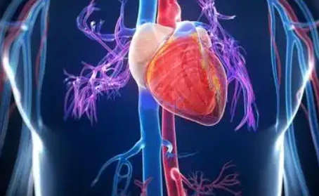 Liraglutide Cardiovascular | Shaanxi BLOOM Tech Co., Ltd Liraglutide Cardiovascular | Shaanxi BLOOM Tech Co., Ltd