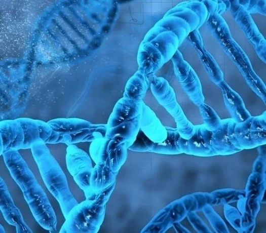 4-Nitroindole uses | Bloomtechz 4-Nitroindole uses | Bloomtechz