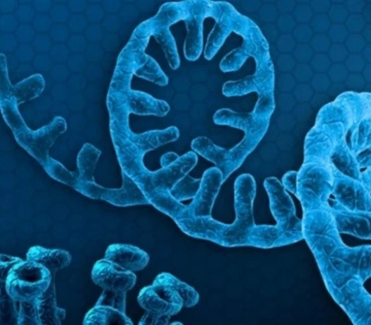 4-Nitroindole product | Bloomtechz 4-Nitroindole product | Bloomtechz